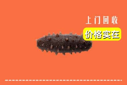 广安岳池县回收海参